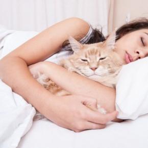 愛猫が『飼い主さんの腕のなかで寝たがる』理由3つ 寝てもらえるようになるには?