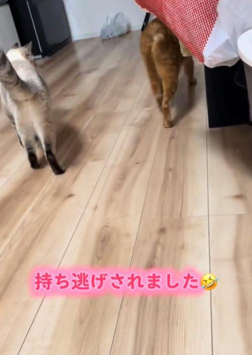 去っていくトラくん