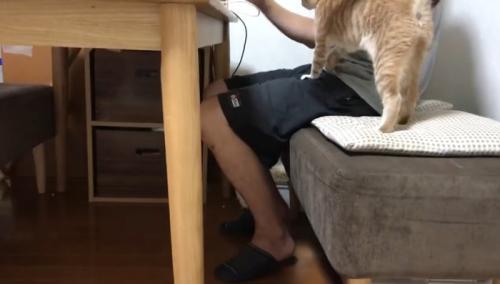 膝の上に