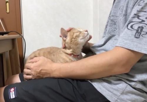 うっとり顔