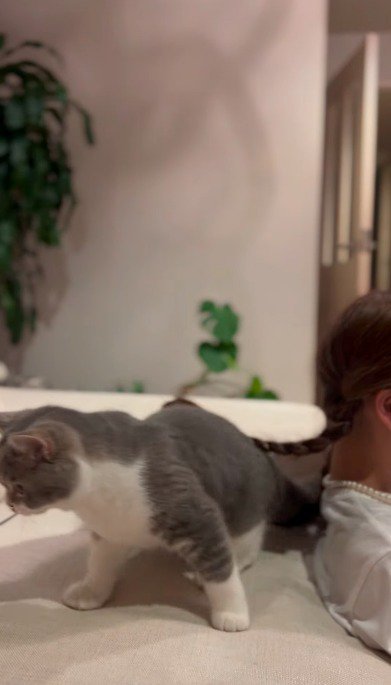 女の子から離れる猫