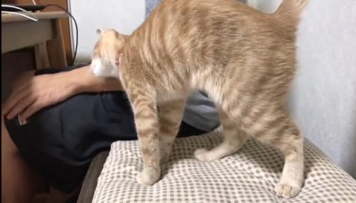 腕にスリッ