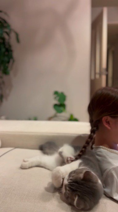 女の子の髪の毛を抱きしめる猫