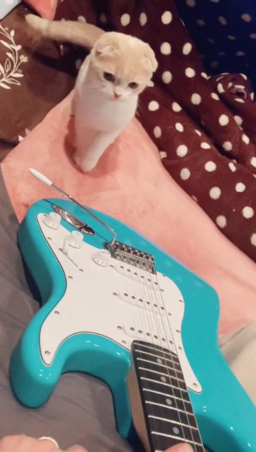 指を見つめるらるちゃん