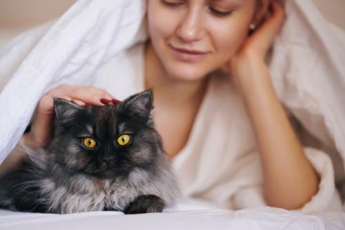 女性と猫