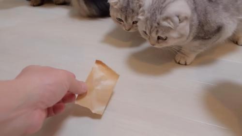 ガムテープを出す人間
