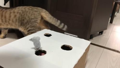 立ち去り中