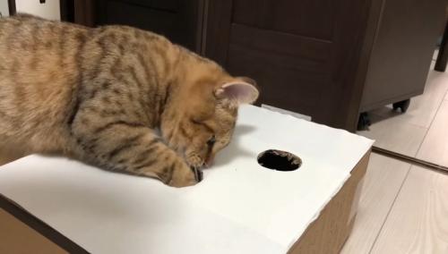 勢い良く