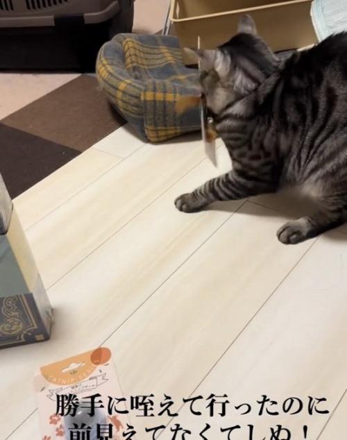おもちゃで前が塞がるファミマルちゃん