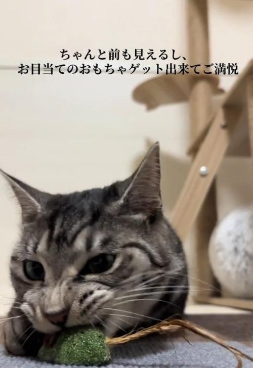 おもちゃで遊ぶファミマルちゃん