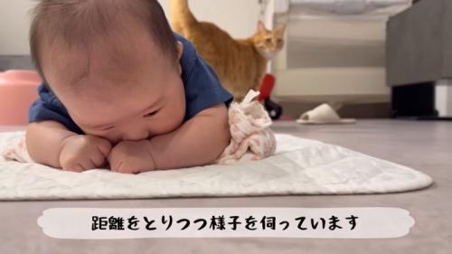 テロップ「距離をとりつつ~」