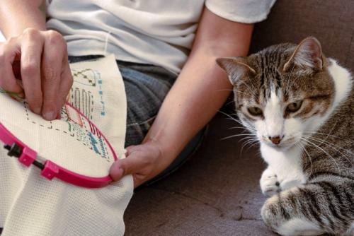 縫い物をする女性と猫