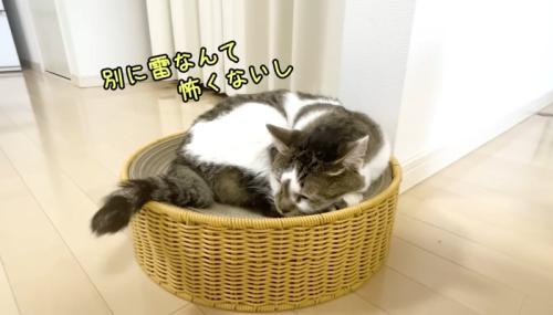 別に雷なんて
