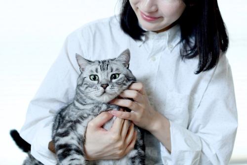 女性に抱かれる猫
