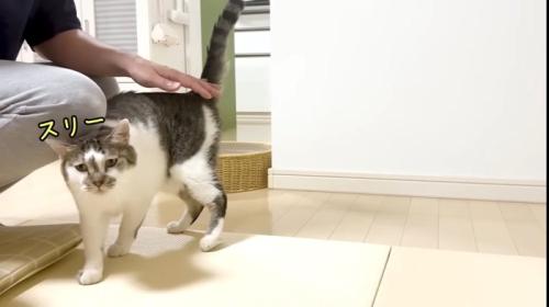 スリー