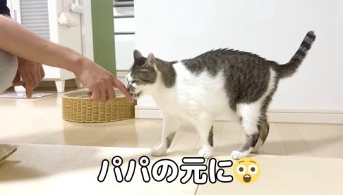 パパの元に