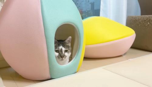 ベッドの中に