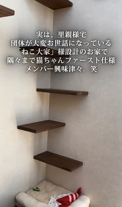 壁に作り付けられたキャットステップ