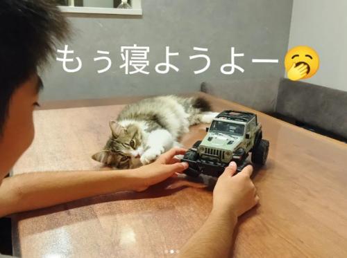 子どもを見ている猫%％僕のことも構って