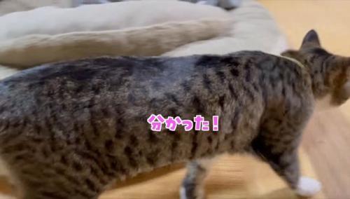 分かった！
