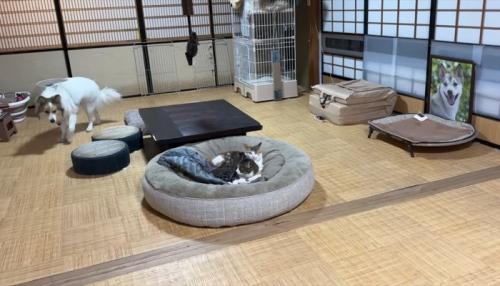 タナちゃん