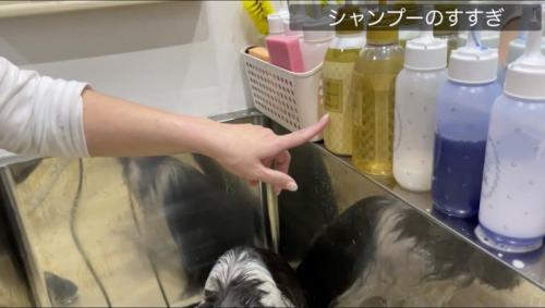 棚に並べられたシャンプーを指さす女性