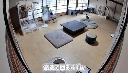 高速で