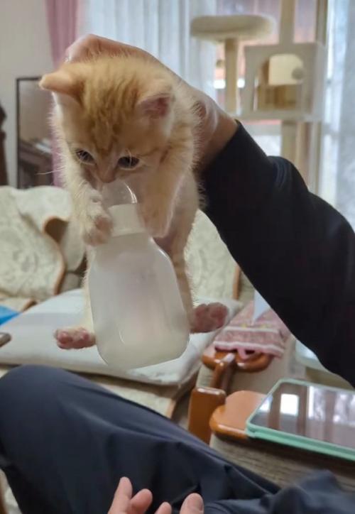 哺乳瓶を持つチャッピーくん
