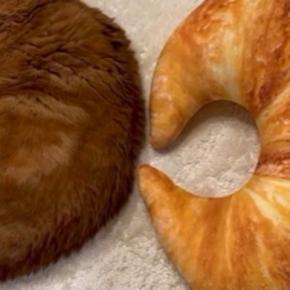 『美味しそうなクロワッサンが二つ並んでいる』と思ったら…まさかの光景が可愛すぎると1399万再生「ええ、素敵」「美味しそうな猫w」