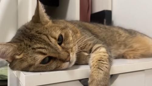 横になって