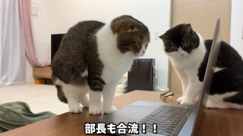 部長も合流！！