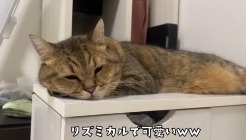 リズミカル