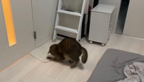 はしご下で