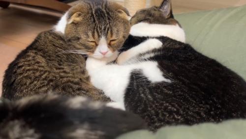 抱き合う親子