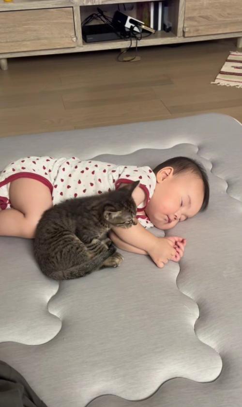 寝ている赤ちゃんと子猫