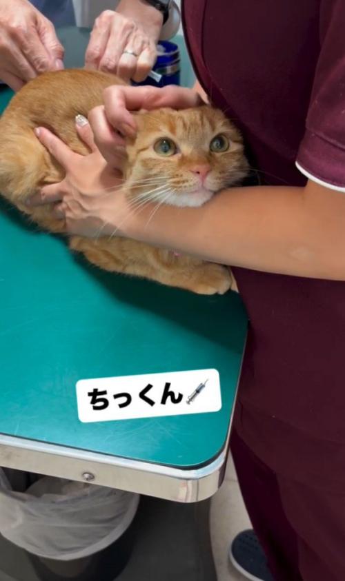 「ちっくん」と書かれた写真