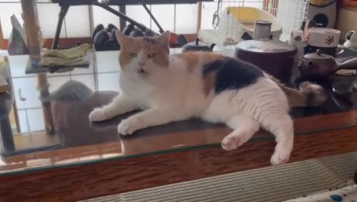 テーブルの上