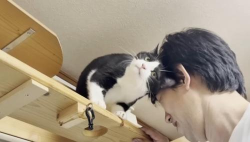 パパさんにスリスリ