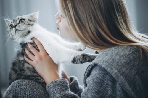 顔を近づける女性を避けようとする猫