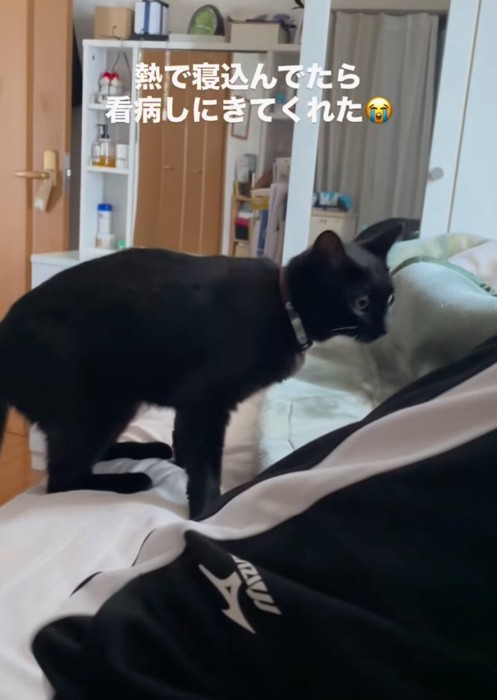 ベッドの上に飛び乗る