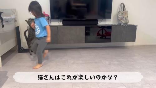 テロップ「猫さんはこれが~」