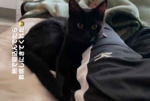 足元に座る黒猫