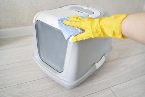 猫のトイレ掃除