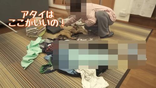 ここがいいの!