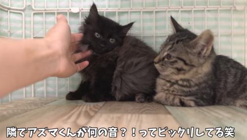 何の音？！