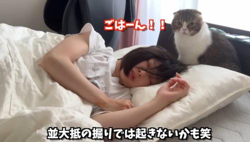 ごはーん！！