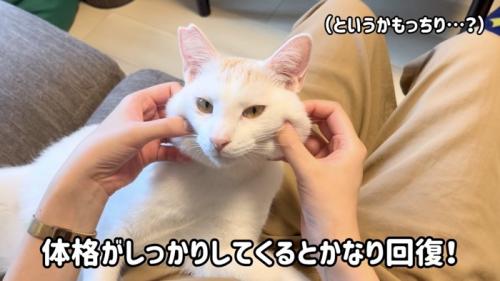 「体格がしっかりしてくると~」のテロップ写真