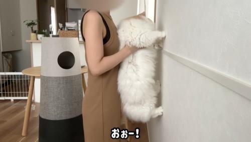 おぉー！