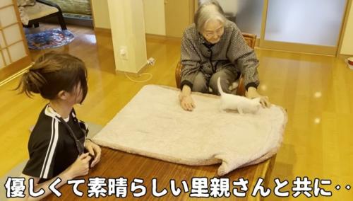 格子柄の服を着た人の前を歩く子猫（優しくて素晴らしい里親さんと共に・・・）