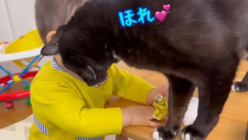 ほれ